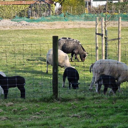 Hemmer Hoeve エクステリア 写真