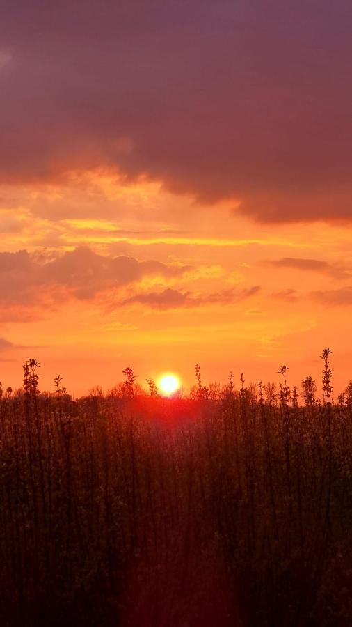 Hemmer Hoeve エクステリア 写真