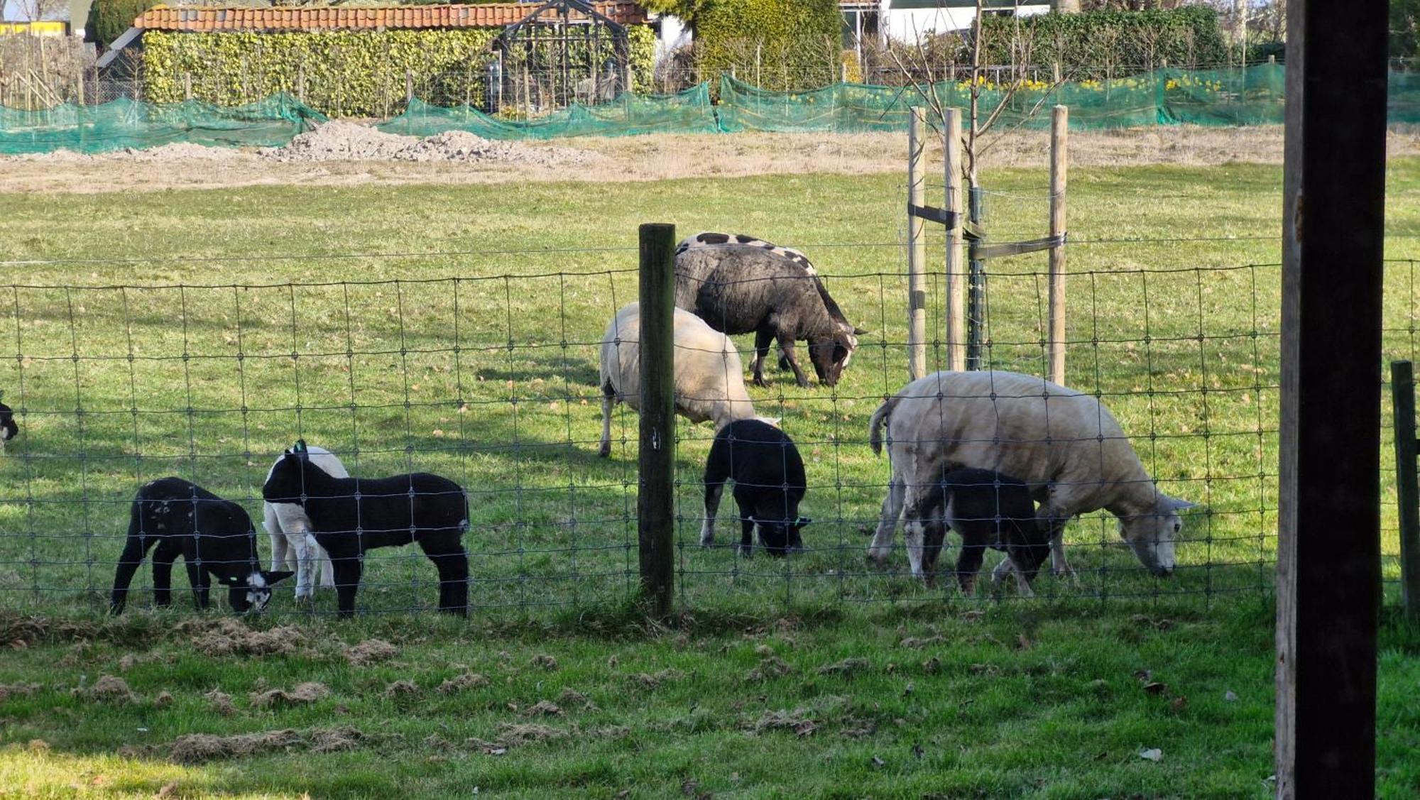 Hemmer Hoeve エクステリア 写真